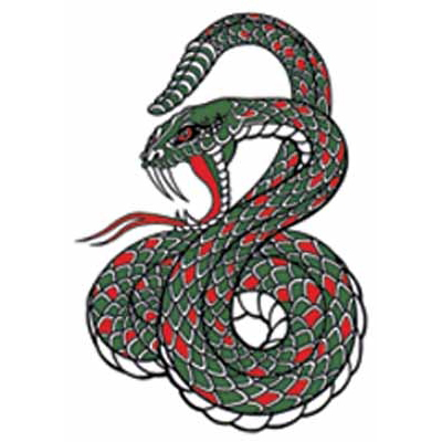 タトゥーシール 大蛇