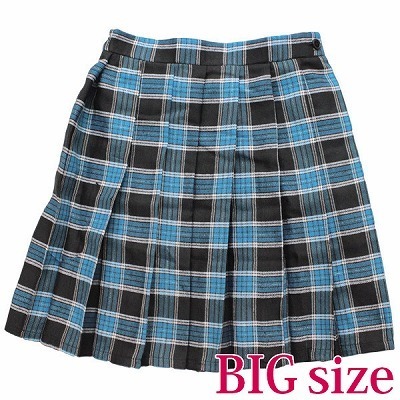 チェック柄プリーツスカート BIG