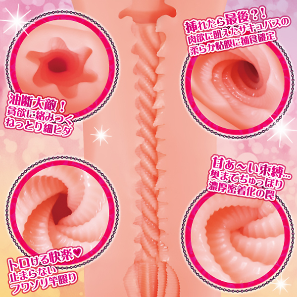 �^�e�q�_�X�p�C�����@�i�߂���V�R�\�t�g�j